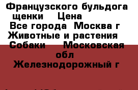 Французского бульдога щенки  › Цена ­ 35 000 - Все города, Москва г. Животные и растения » Собаки   . Московская обл.,Железнодорожный г.